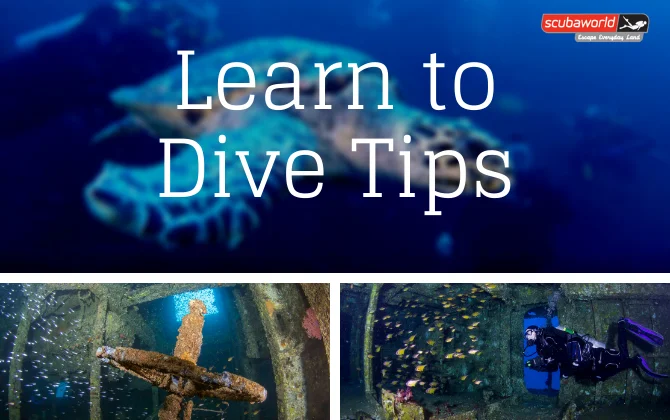 Scuba Tips On Every Dive